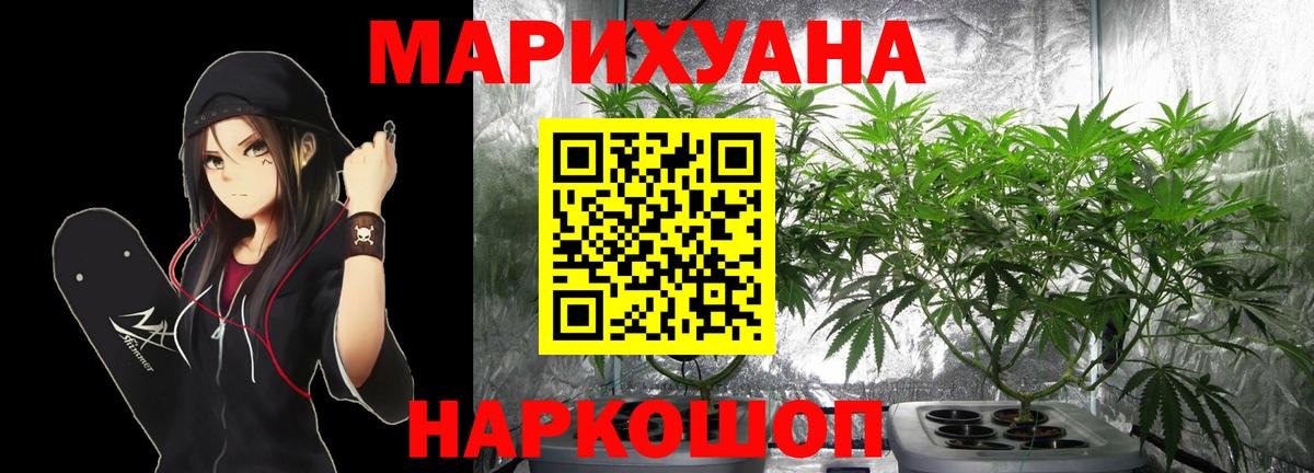 Бошки Шишки планчик Мончегорск